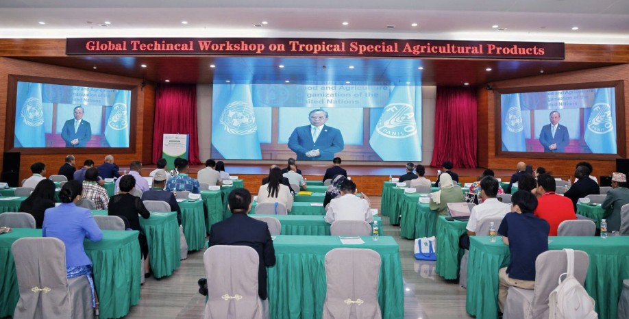 China hosts global FAO workshop on value chains of tropical agricultural products